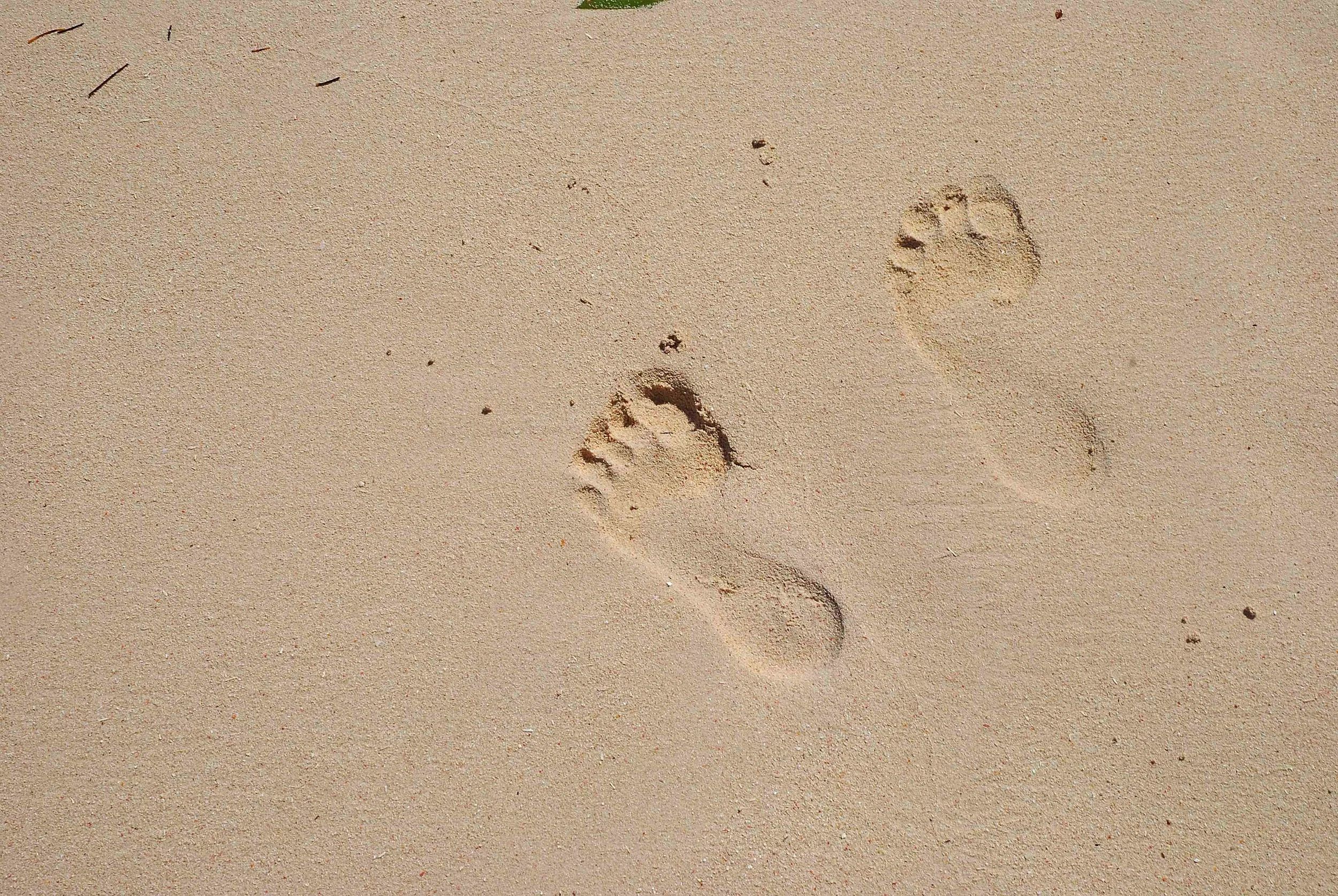 Incluso   (Poema de otoño)