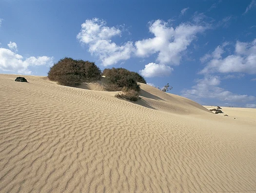 Fuerteventura (Islas del Mundo)