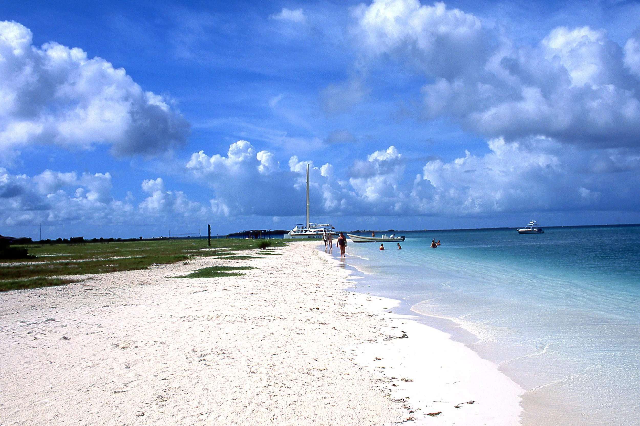 Roques003VM.jpg