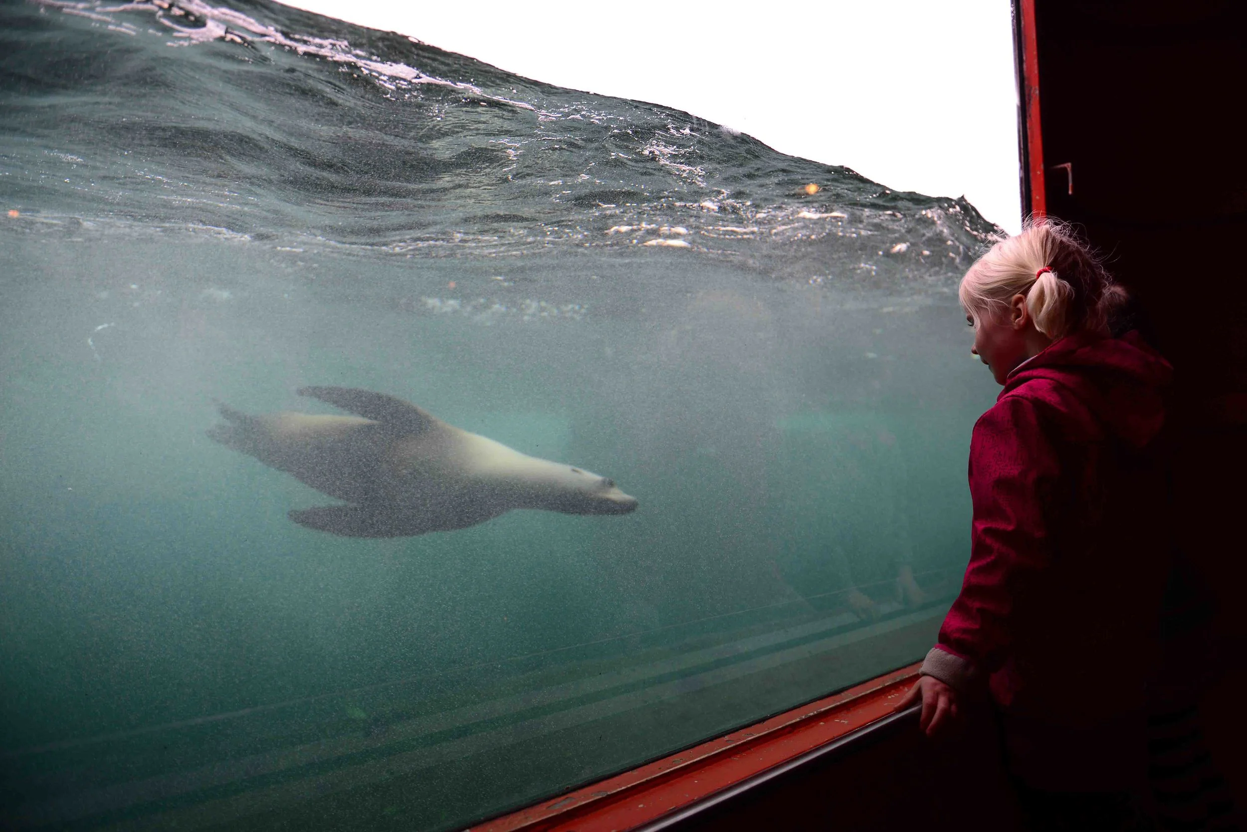 Qué ver en Hannover