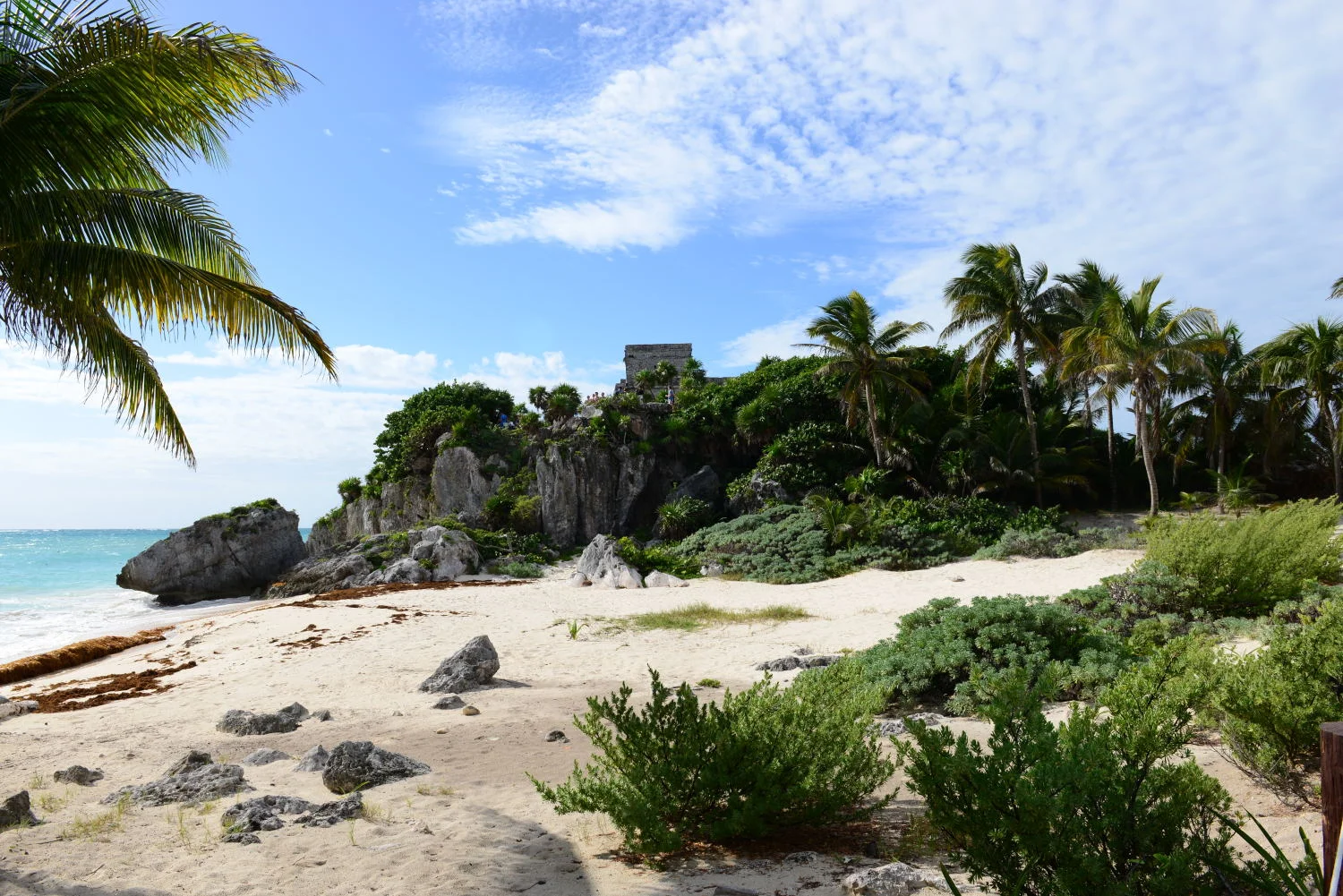 Jazz festival en la Riviera Maya