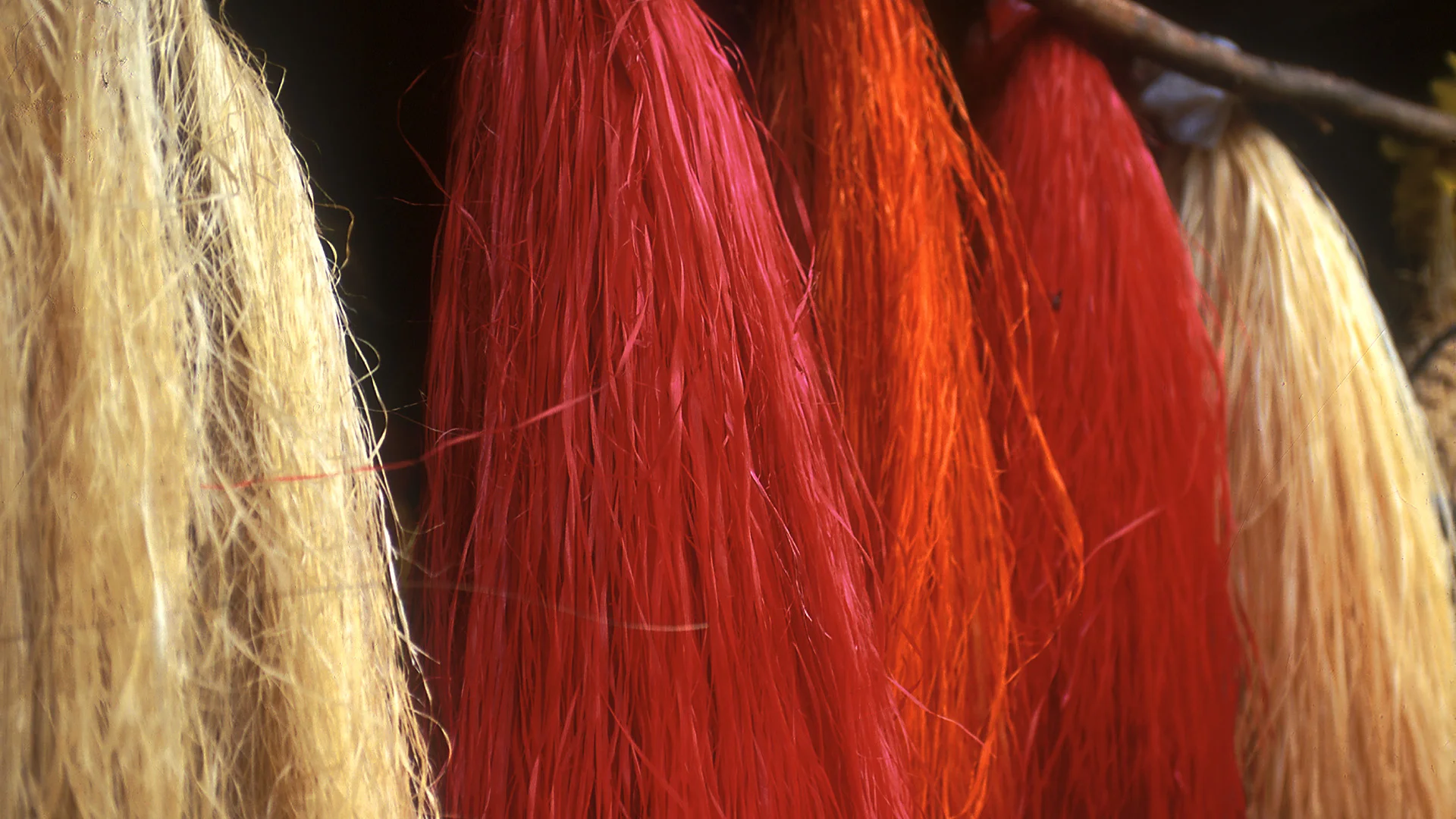 Nunca te rindas  (poema)