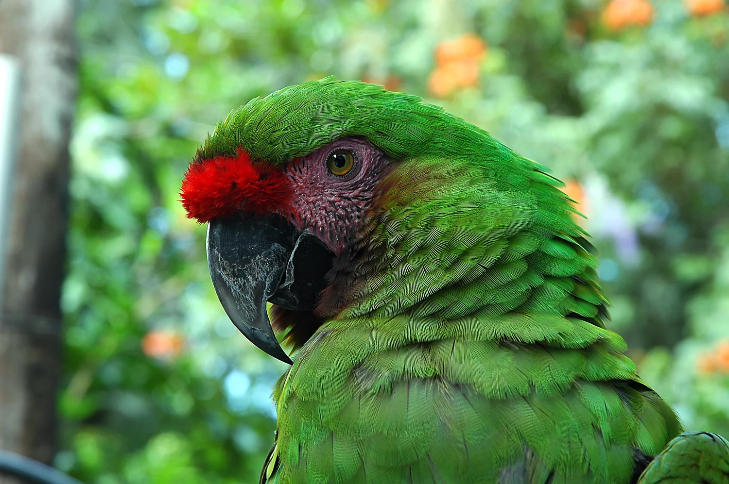 Cambios en la revista