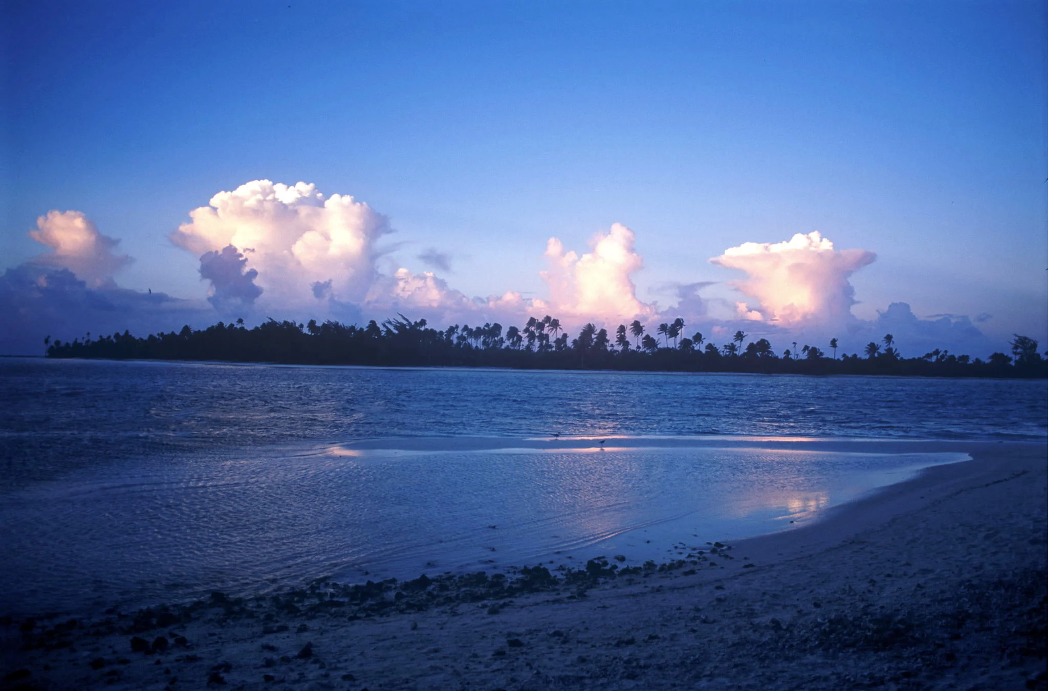 La niña del mar (novela)