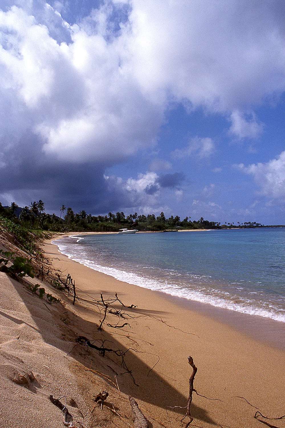 Punta Arenas, isla de Vieques