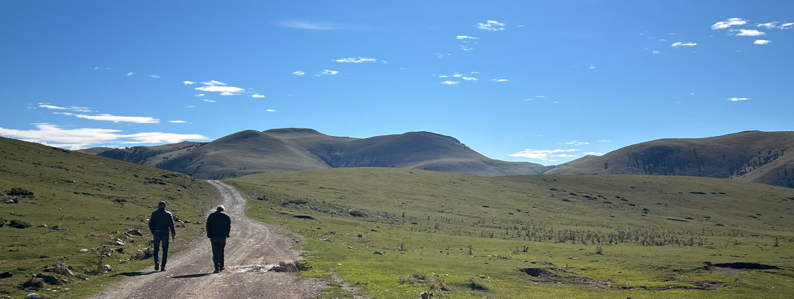 Captura de pantalla 2025-12-17 a las 18.27.45 copia.png