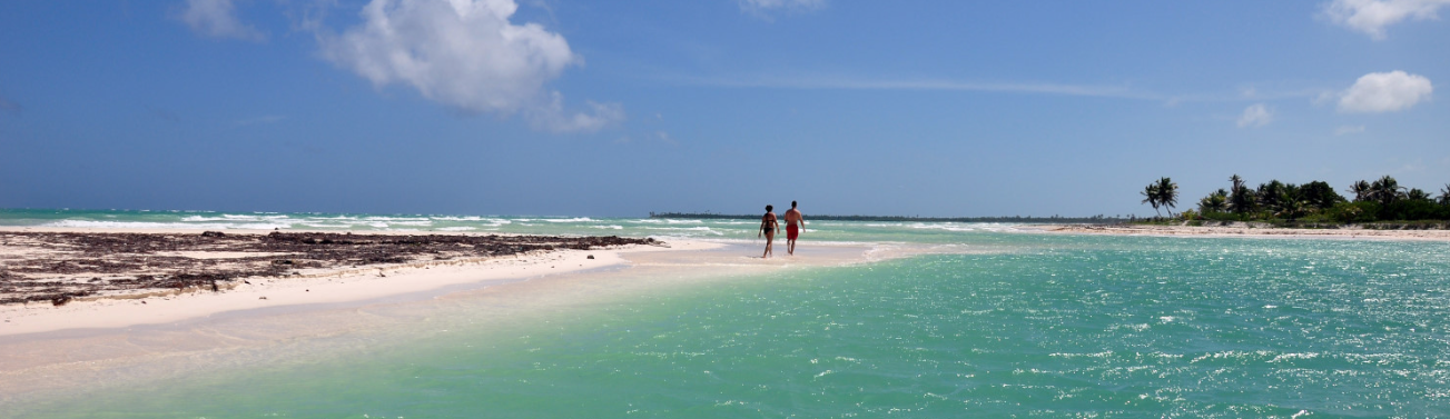 Captura de pantalla 2026-04-01 a las 19.14.38.png