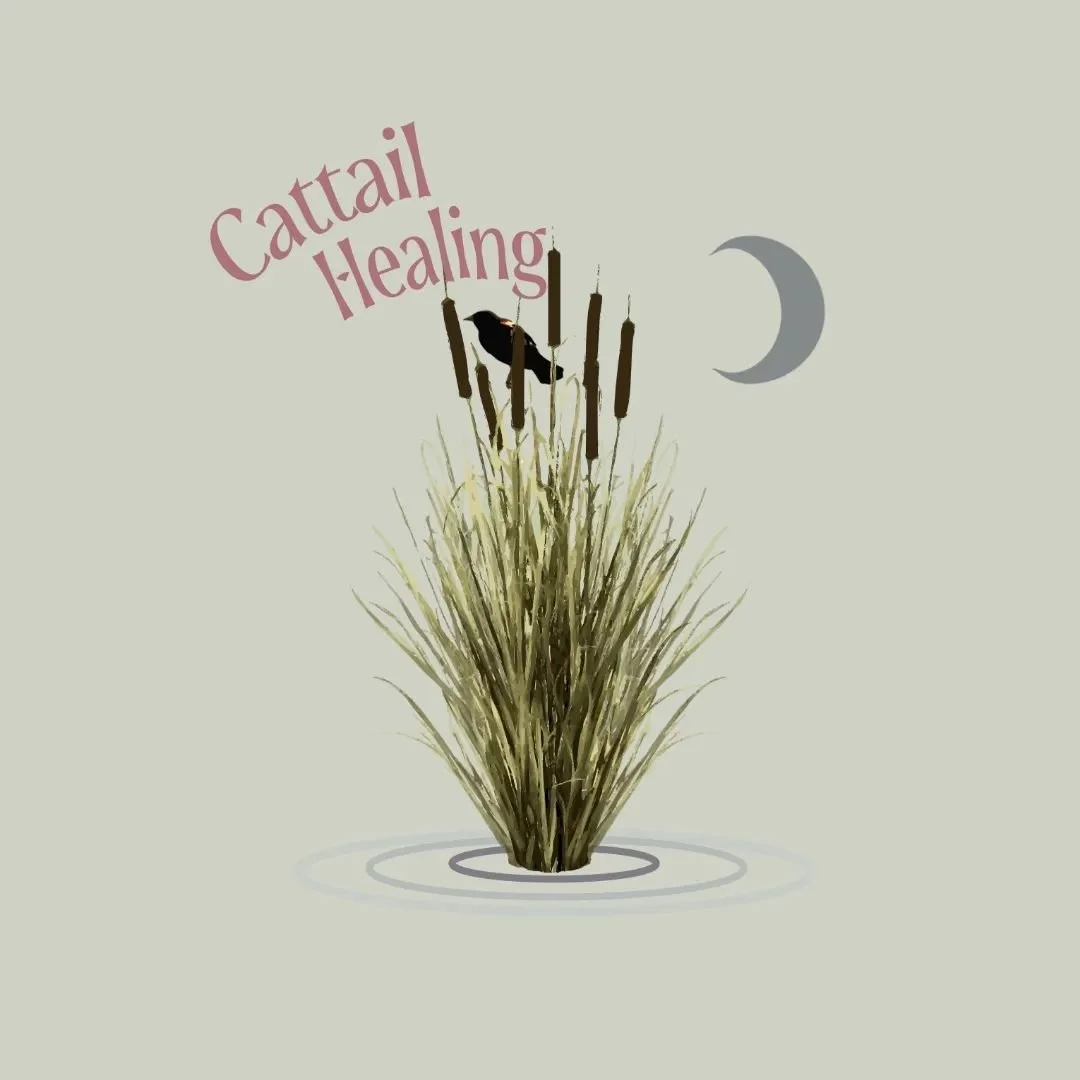 Oh hi!
After 2 years of thinking and learning and growing I am so happy to finally announce the start of Cattail Healing. 

While not every part of this project is perfect yet (WordPress might be the death of me) the leap needs to be taken. 

With Ca