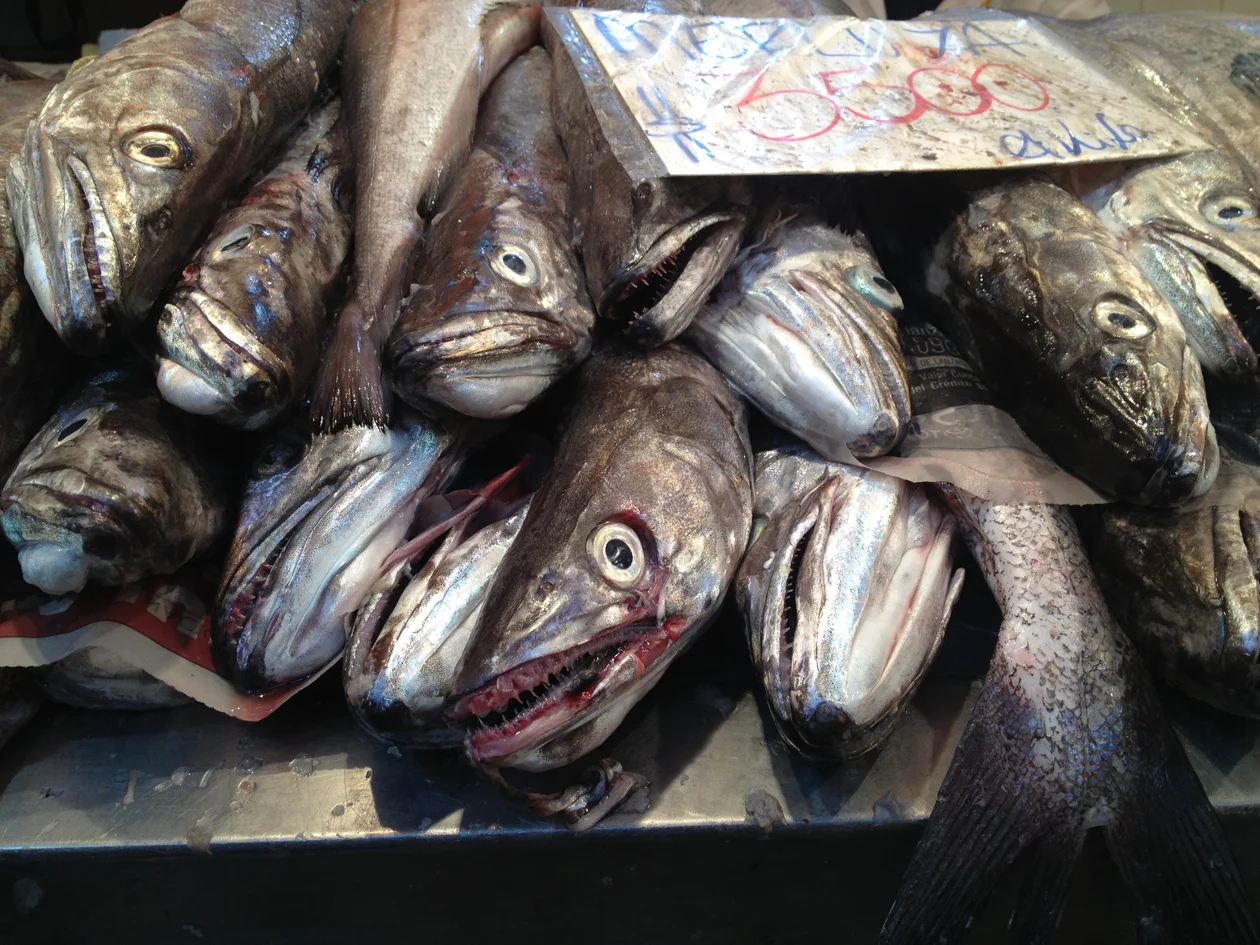 The seafood is amazing. And, even though it might look scary, it’s
delicious.
0
0
1
11
69
Kikio Creative Communications
1
1
79
14.0
Normal
0
false
false
false
EN-US
JA
X-NONE
/* Style Definitions */
table.MsoNormalTable
{mso-style-name:"Table Normal";
mso-tstyle-rowband-size:0;
mso-tstyle-colband-size:0;
mso-style-noshow:yes;
mso-style-priority:99;
mso-style-parent:"";
mso-padding-alt:0in 5.4pt 0in 5.4pt;
mso-para-margin:0in;
mso-para-margin-bottom:.0001pt;
mso-pagination:widow-orphan;
font-size:12.0pt;
font-family:Cambria;
mso-ascii-font-family:Cambria;
mso-ascii-theme-font:minor-latin;
mso-hansi-font-family:Cambria;
mso-hansi-theme-font:minor-latin;}
