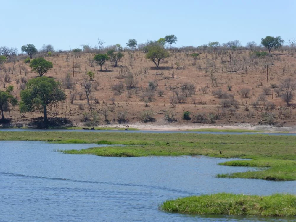 Batswana landscape-Blog.jpg