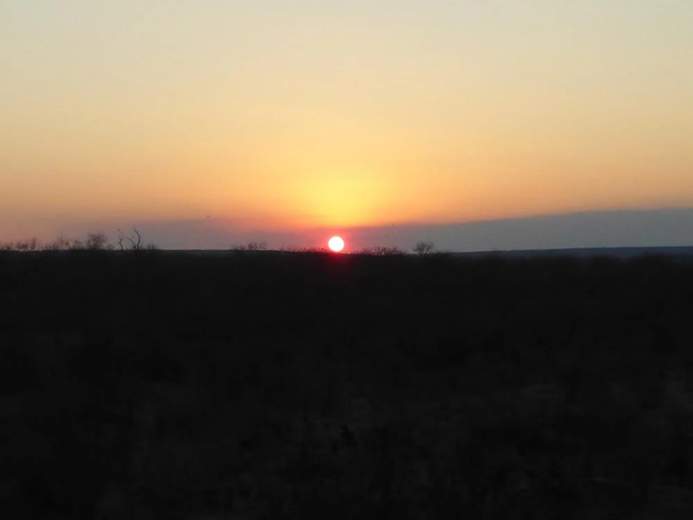 Our first night, we took a "sundowner" on the Zambeze River. We saw hippos and found out that they are actually the most dangerous animal in the wild. Who knew?