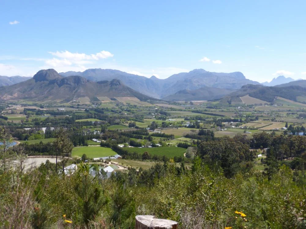 His family started this
vineyard when he was seven. What a place
to grow up, right?
0
0
1
12
74
Kikio Creative Communications
1
1
85
14.0
Normal
0
false
false
false
EN-US
JA
X-NONE
/* Style Definitions */
table.MsoNormalTable
{mso-style-name:"Table Normal";
mso-tstyle-rowband-size:0;
mso-tstyle-colband-size:0;
mso-style-noshow:yes;
mso-style-priority:99;
mso-style-parent:"";
mso-padding-alt:0in 5.4pt 0in 5.4pt;
mso-para-margin:0in;
mso-para-margin-bottom:.0001pt;
mso-pagination:widow-orphan;
font-size:12.0pt;
font-family:Cambria;
mso-ascii-font-family:Cambria;
mso-ascii-theme-font:minor-latin;
mso-hansi-font-family:Cambria;
mso-hansi-theme-font:minor-latin;}