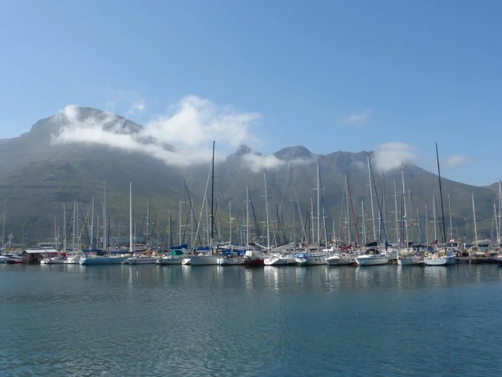 Duiker Island 1-BLog.jpg