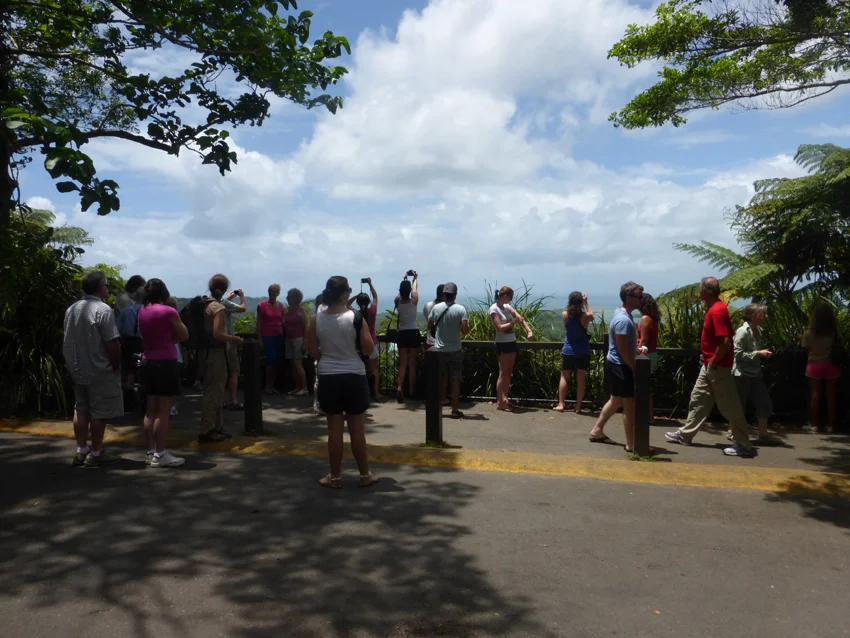 We finally arrived at our first rainforest vantage point and this is what we saw.