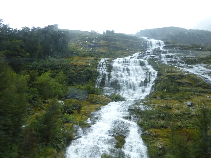 Once we got to Milford Sound, we got on a two-hour boat tour of this amazing part of the world. On the up side, the rain created literally hundreds of temporary waterfalls that would otherwise not be visible. We’ll let you figure out the downside.