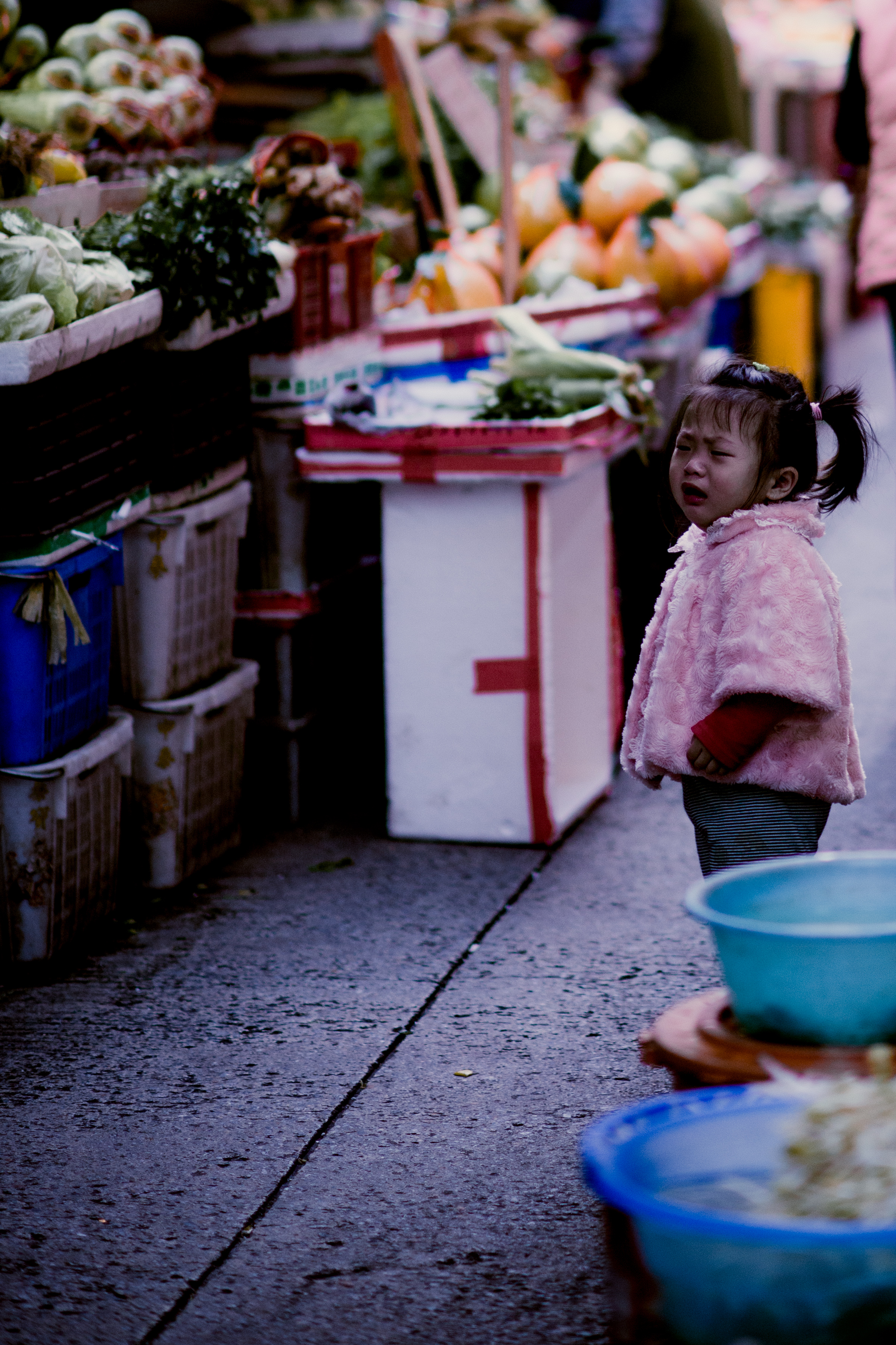 20140127-DSC_1642.jpg