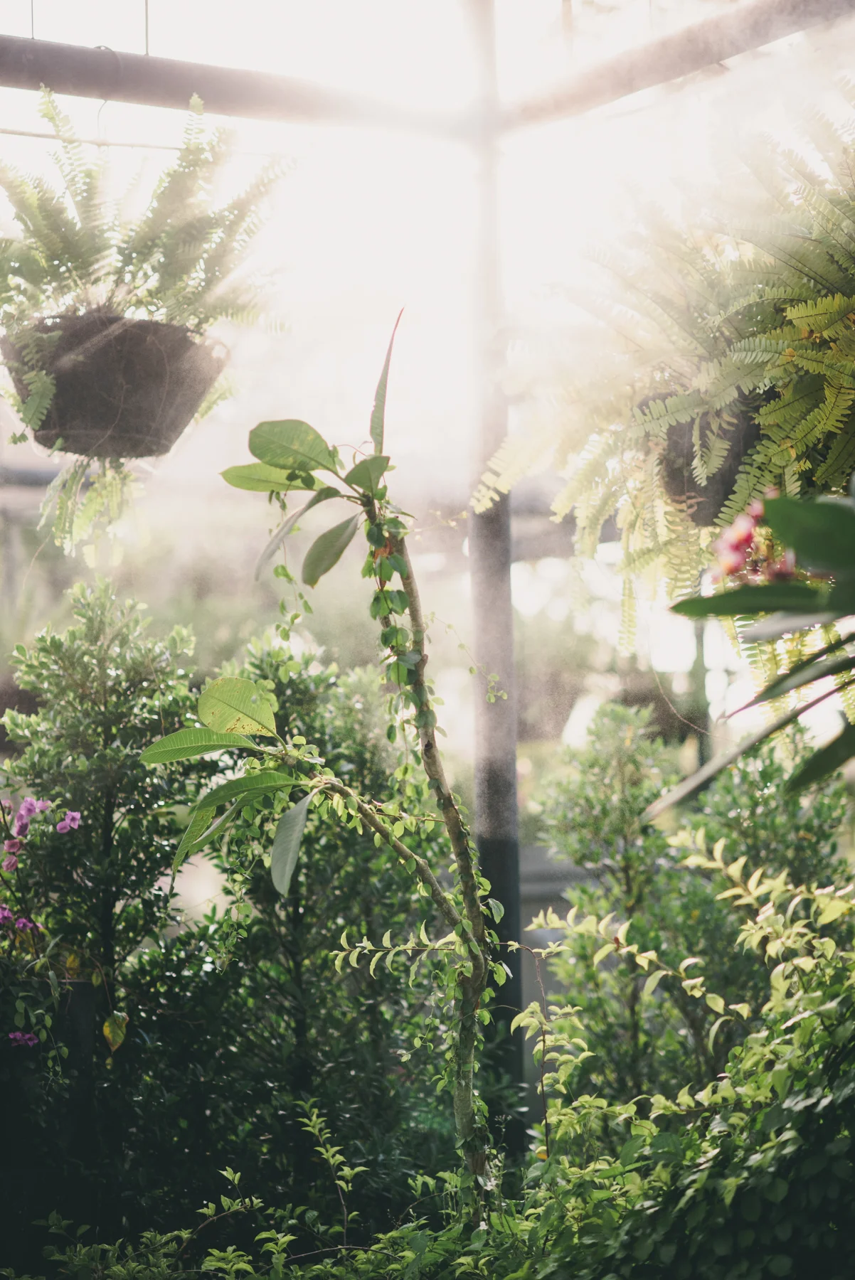 justlimphoto-wild-5146.jpg