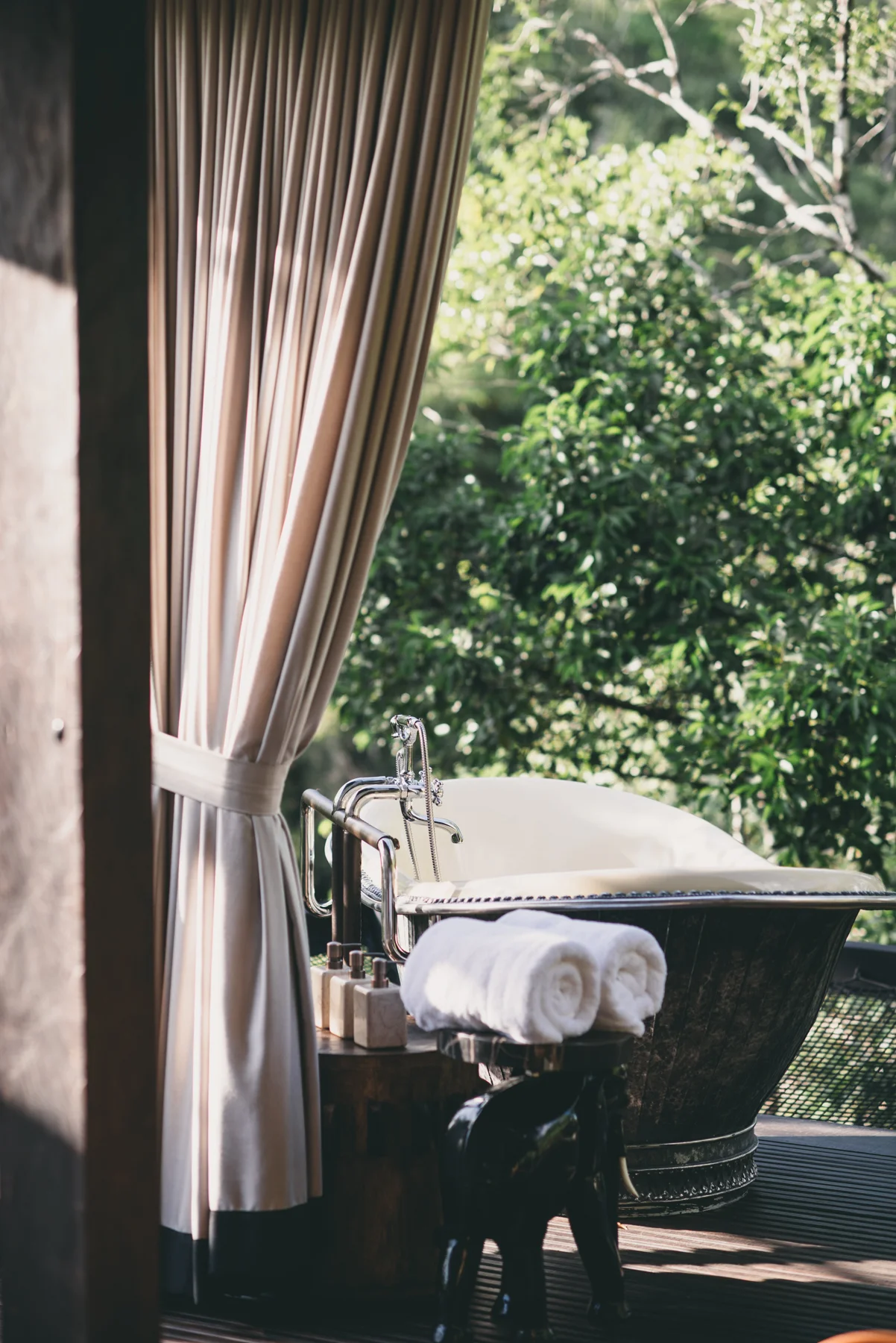 justlimphoto-wild-5507.jpg