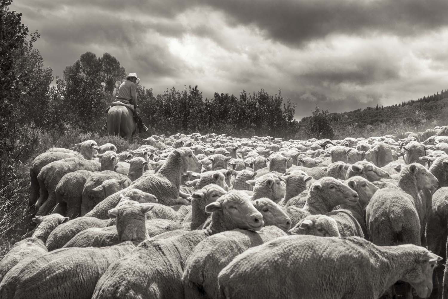 birnbach-20130712-31190-master-cc.jpg