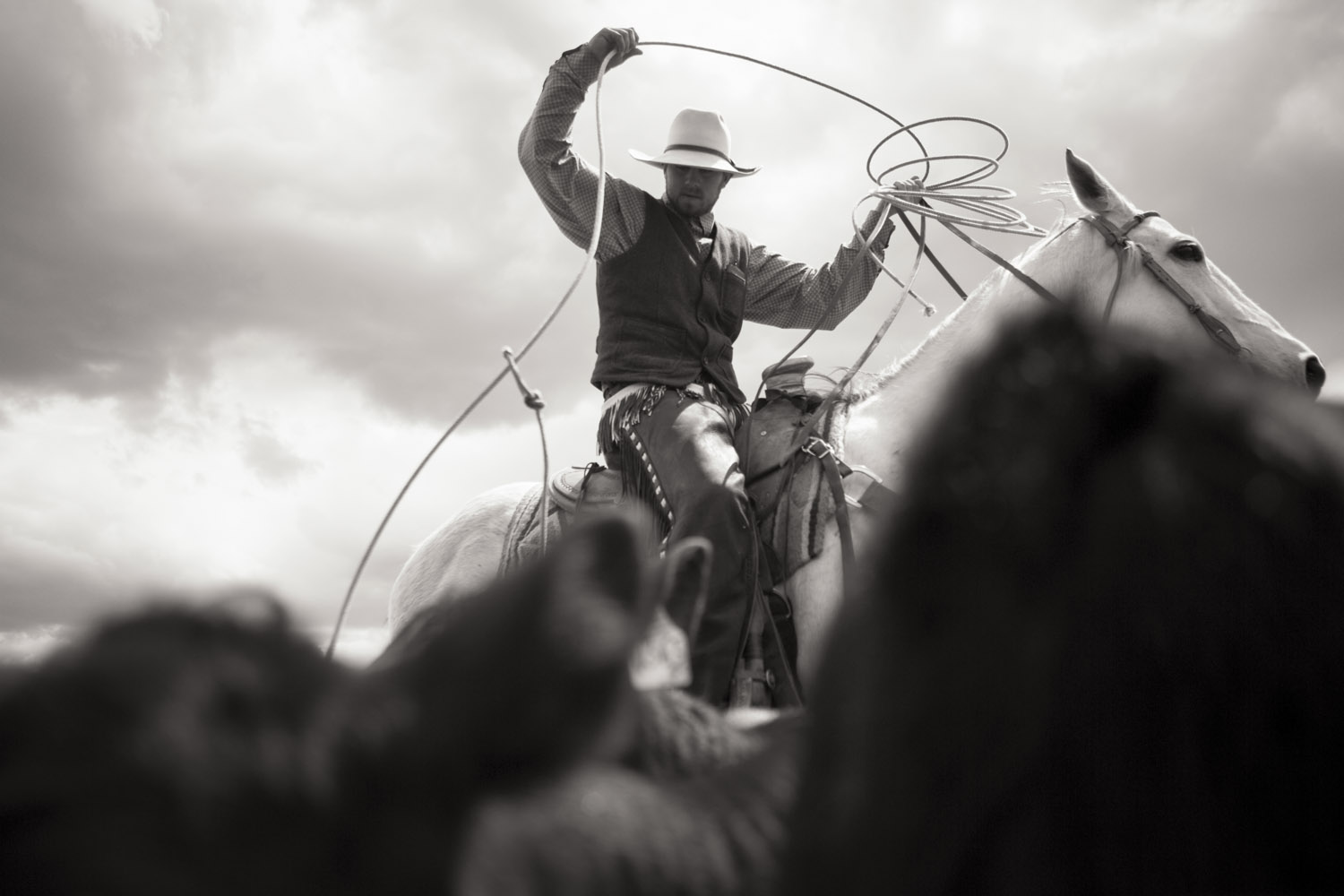 Ladder Ranch Branding #12