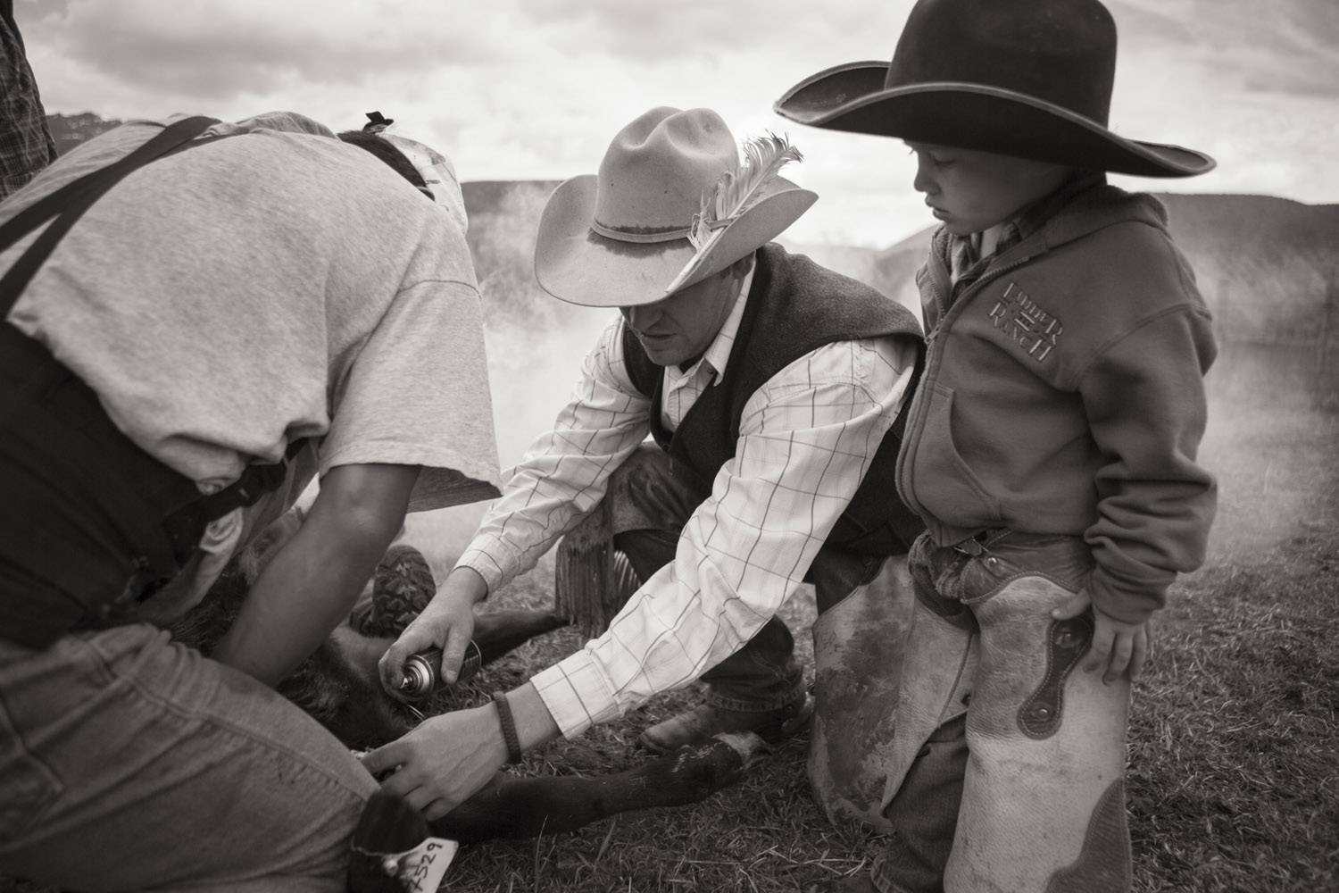 Ladder Ranch Branding #1