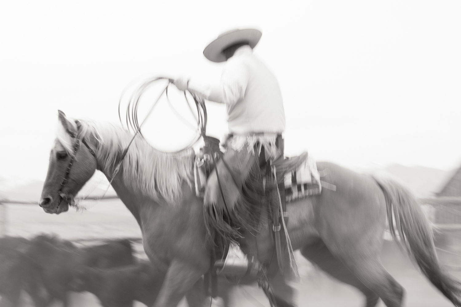 Baker Ranch Branding #8