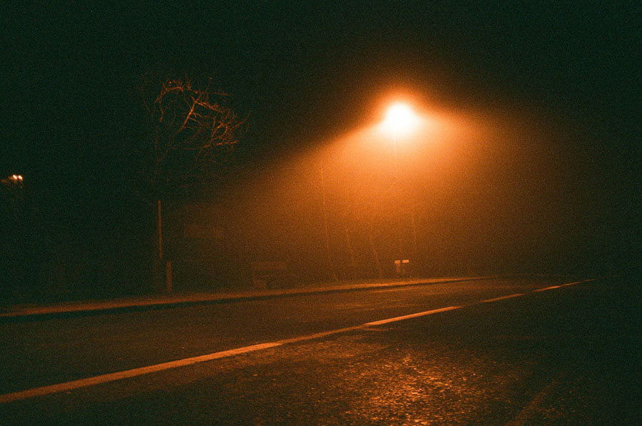 thefog01