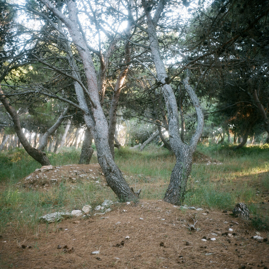TriestKroatien17