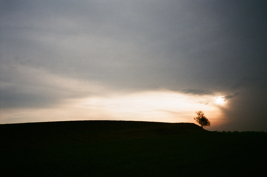 8803_15