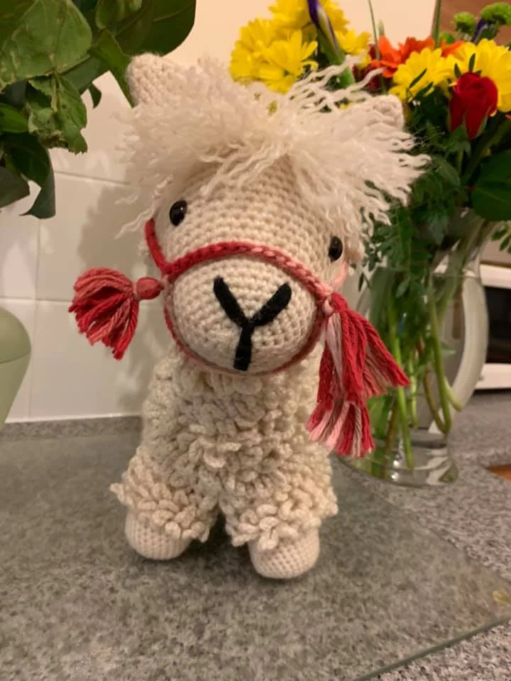 Crochet llama by Kirsten F