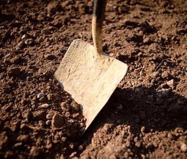 shovel in dirt.jpg