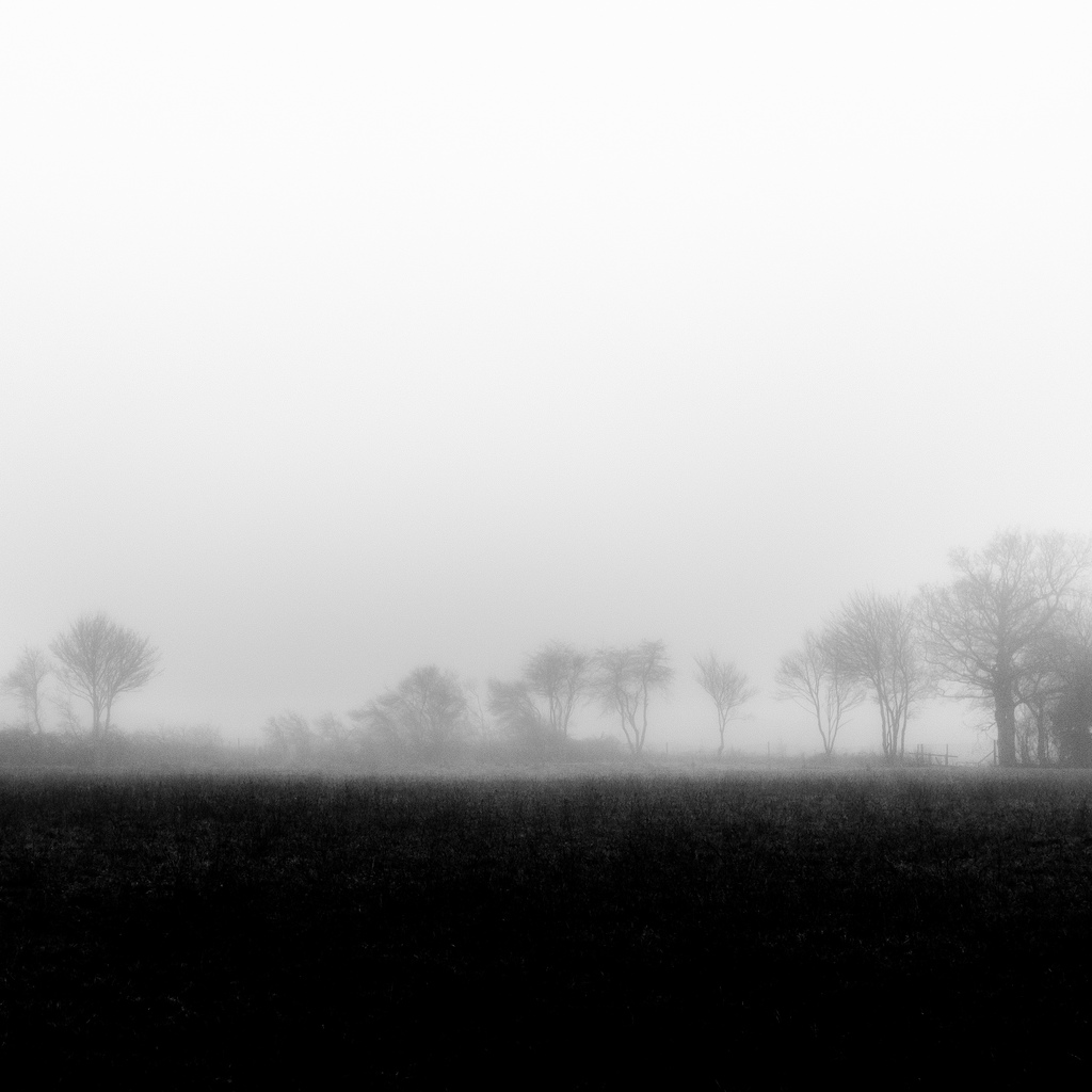 Grey, colorless days can sometimes do great and beautiful things for my soul. 