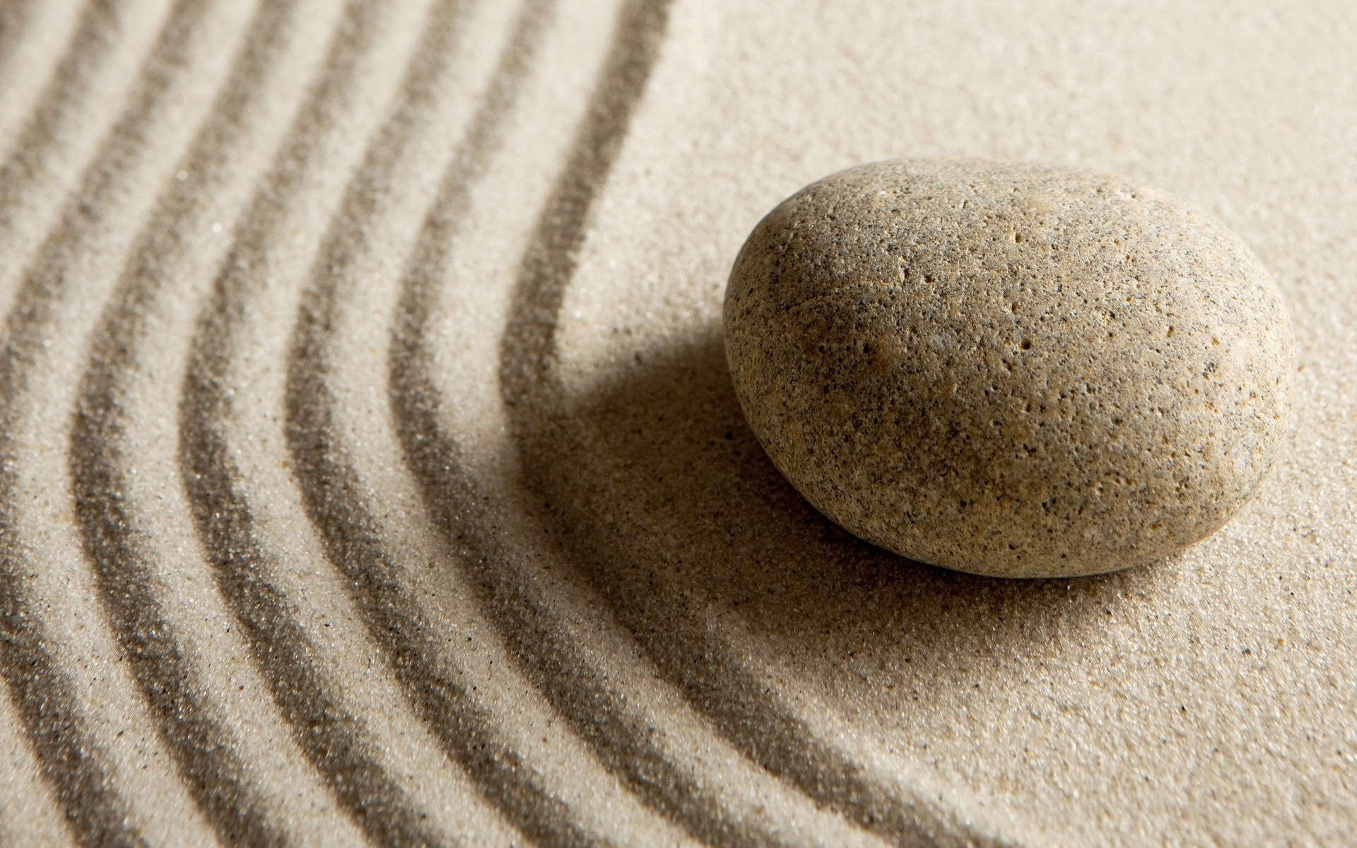 Clarity is the soul of enlightenment. 