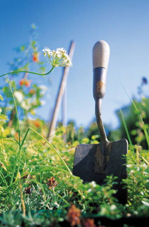 They only differences between a painter's brush and a gardener's trowel are the materials used to make them. 