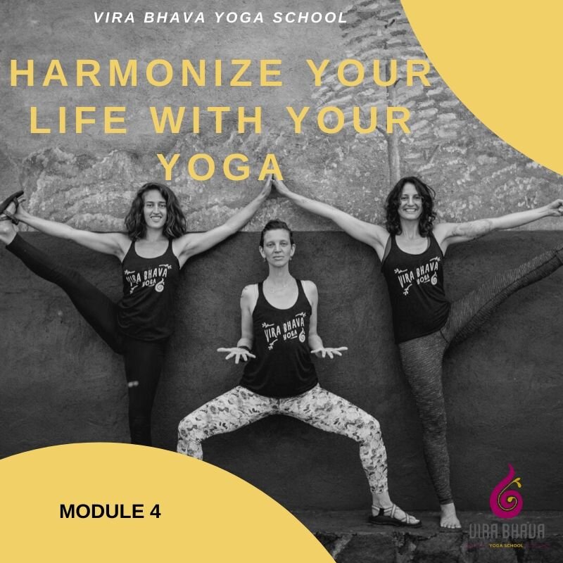 Copy of Mini Module Image.jpg