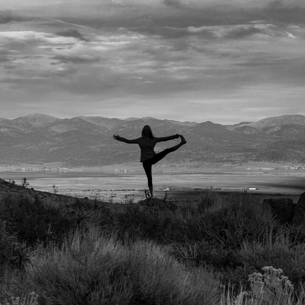 Asana & Energetics: Level 1