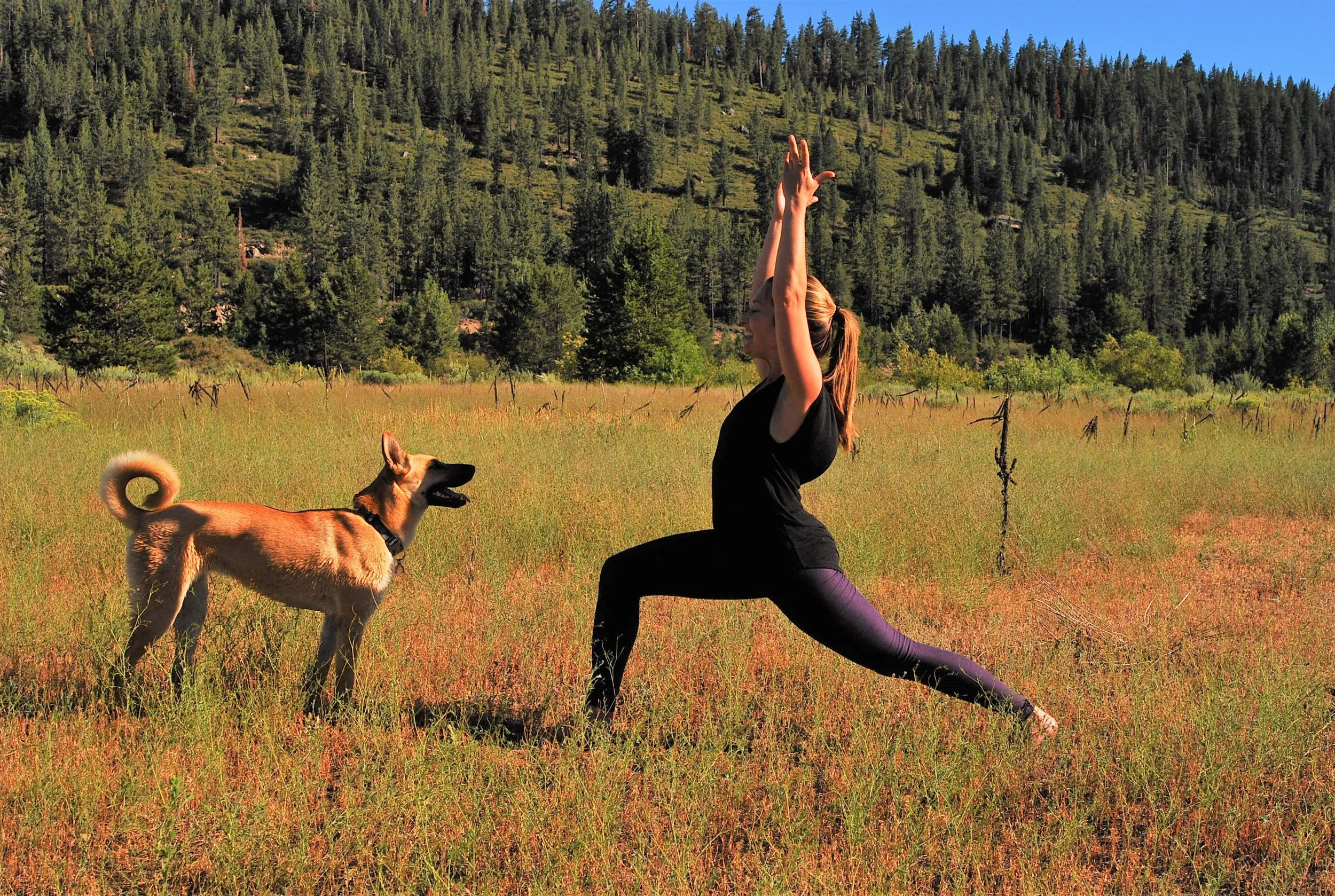 Yoga &amp; Resilience Beyond Self-Improvement 
