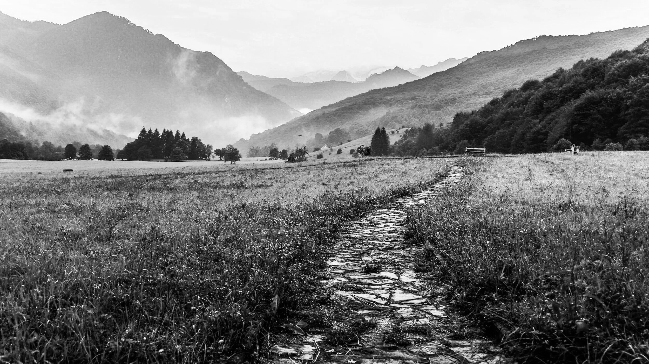 Falling Short, Finding Gratitude