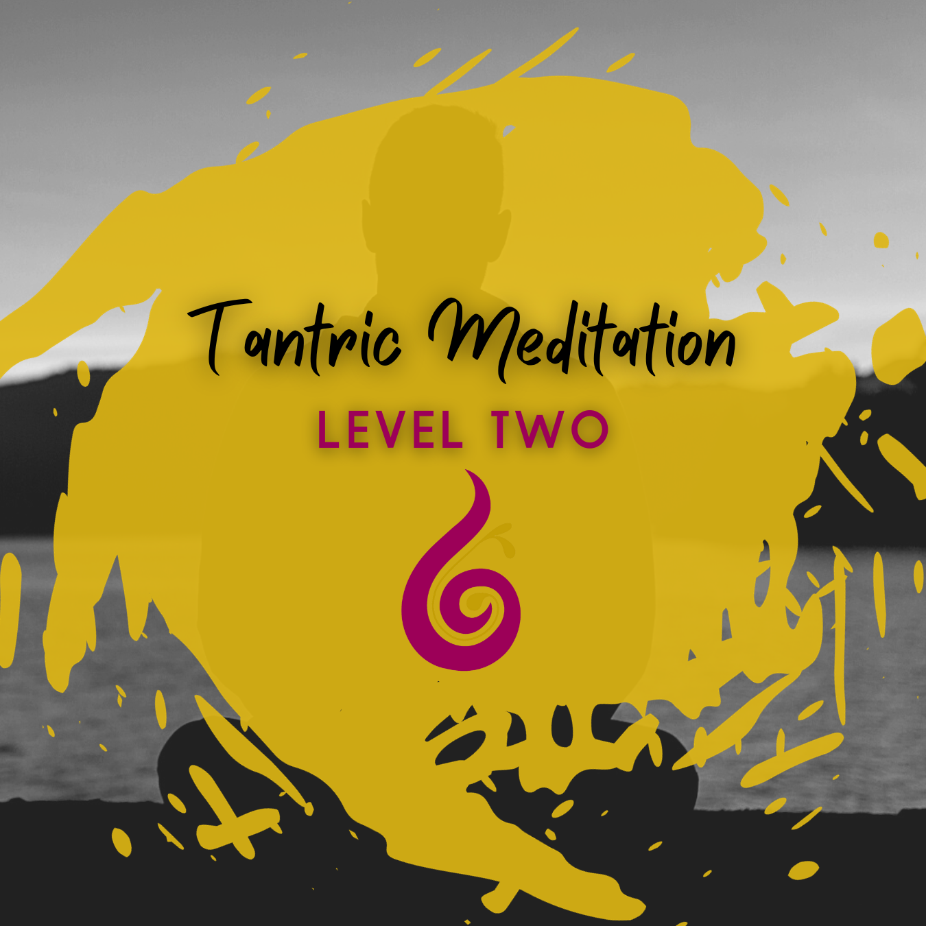 Tantric Meditation Teacher Training Level 2 (Pay in Full)
