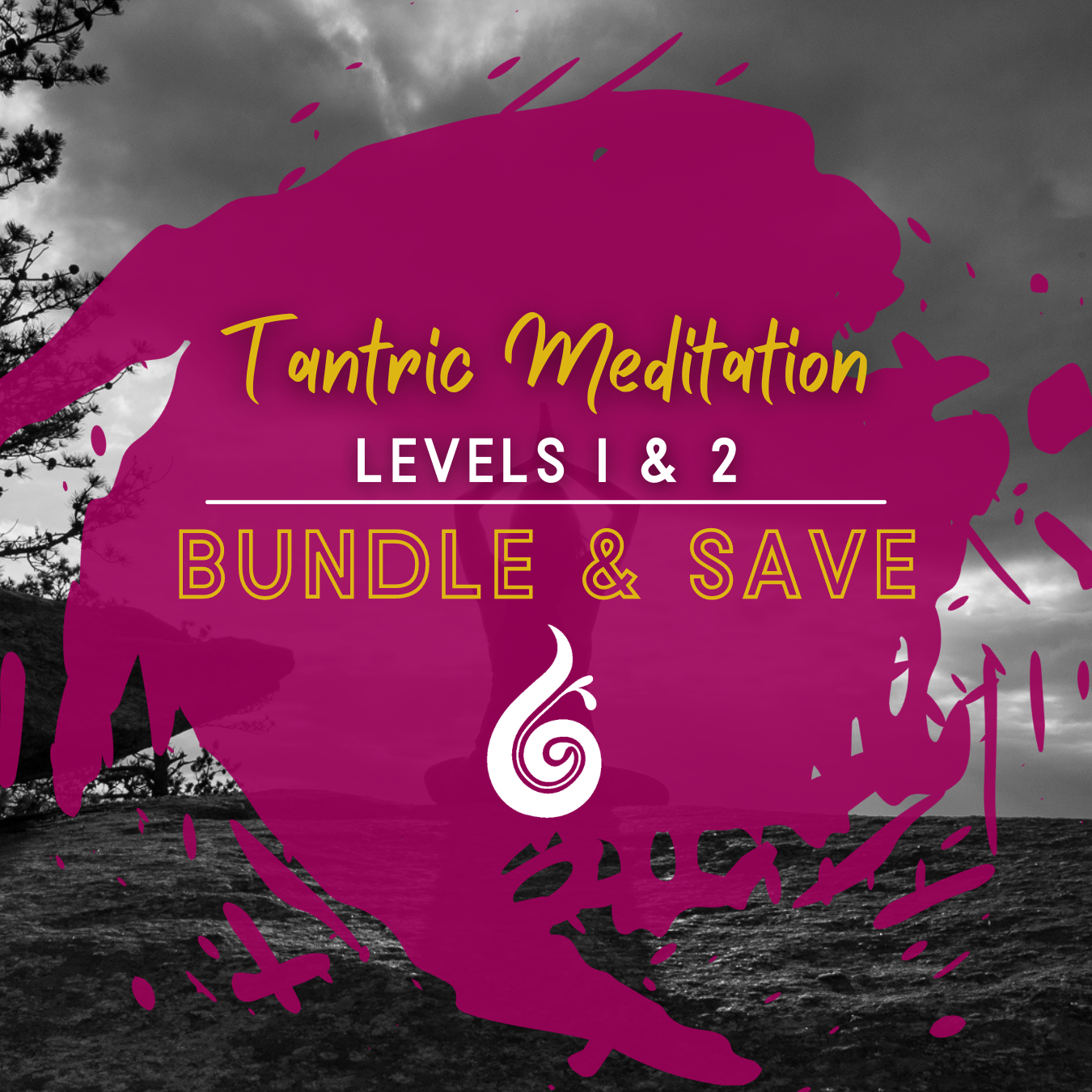 Tantric Meditation Teacher Training (Levels 1 & 2) Bundle & Save