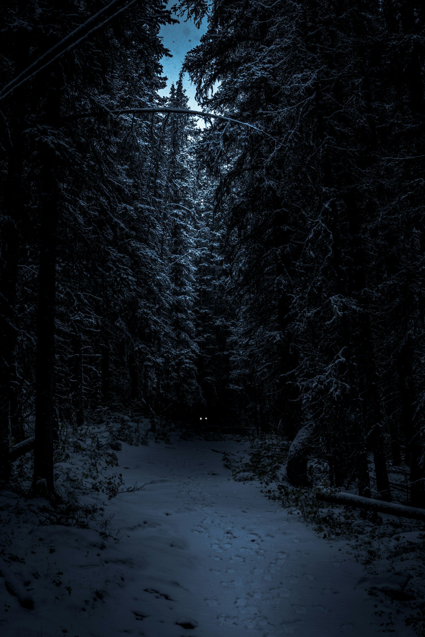 Darkness, Desire, and the Power of “I Won’t”