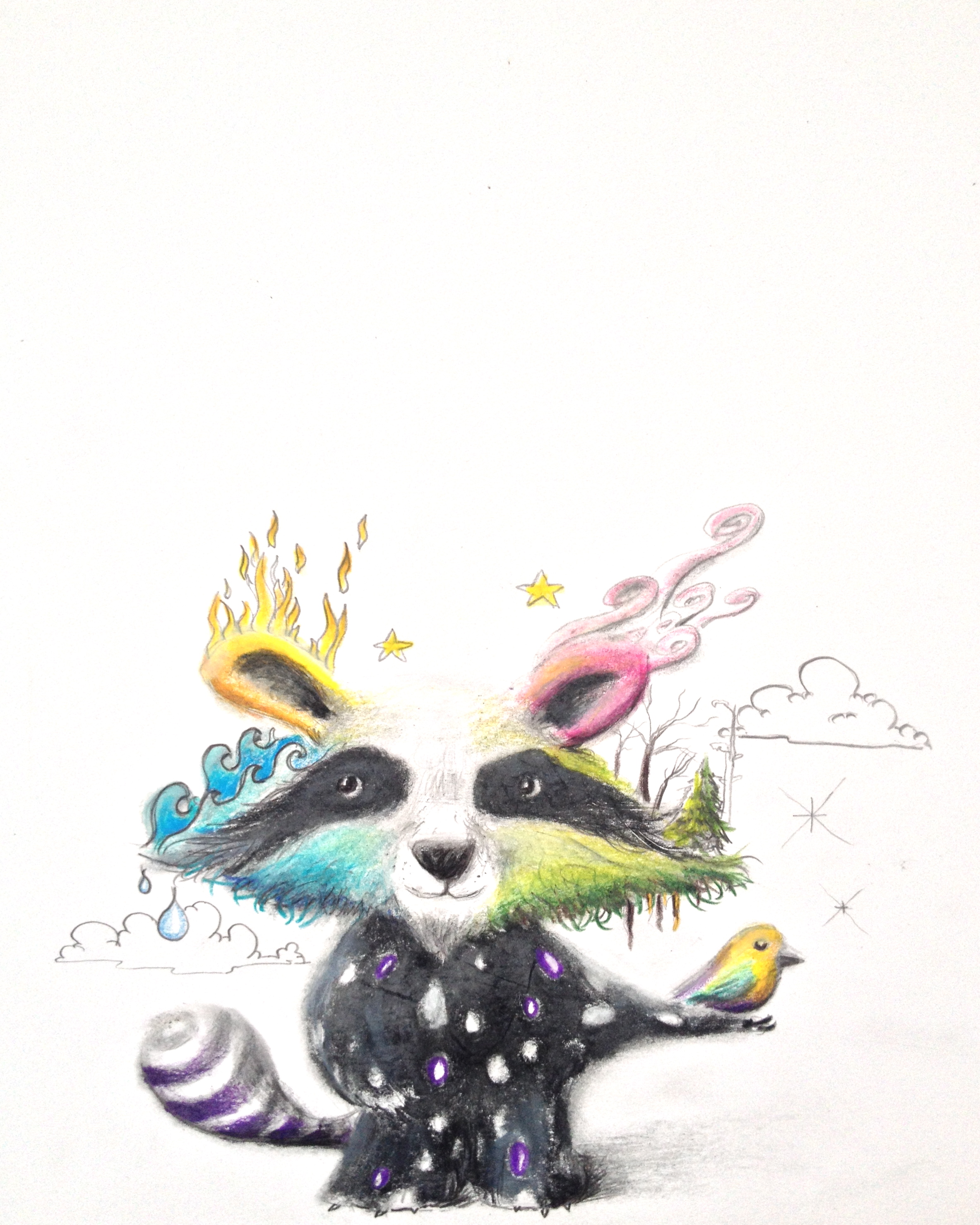"Elemental Raccoon"  8.5"x11" colored pencil on paper