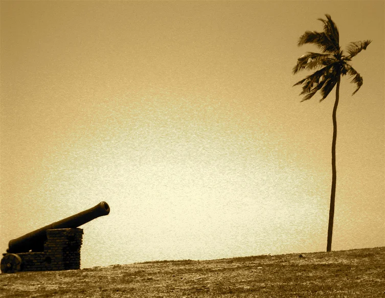 Canon & Palm, 2006, Ghana