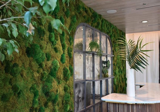 Screen Shot 2018-12-13 at 1.45.14 PM.png