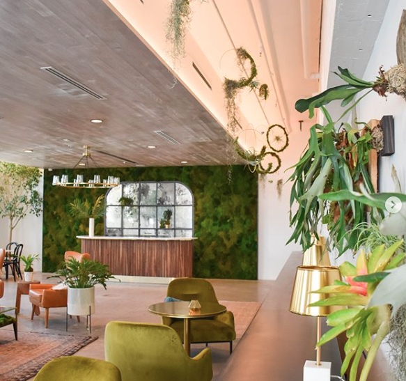 Screen Shot 2018-12-13 at 1.46.21 PM.png