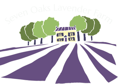 Seven Oaks Lavender Farm