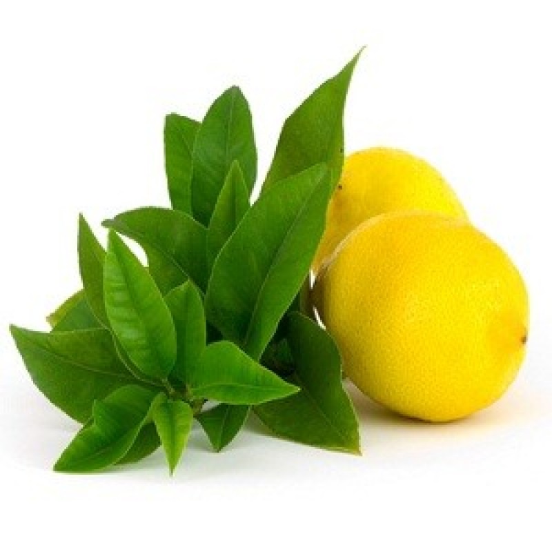 Lemon verbena Essential oil-800x800.jpg