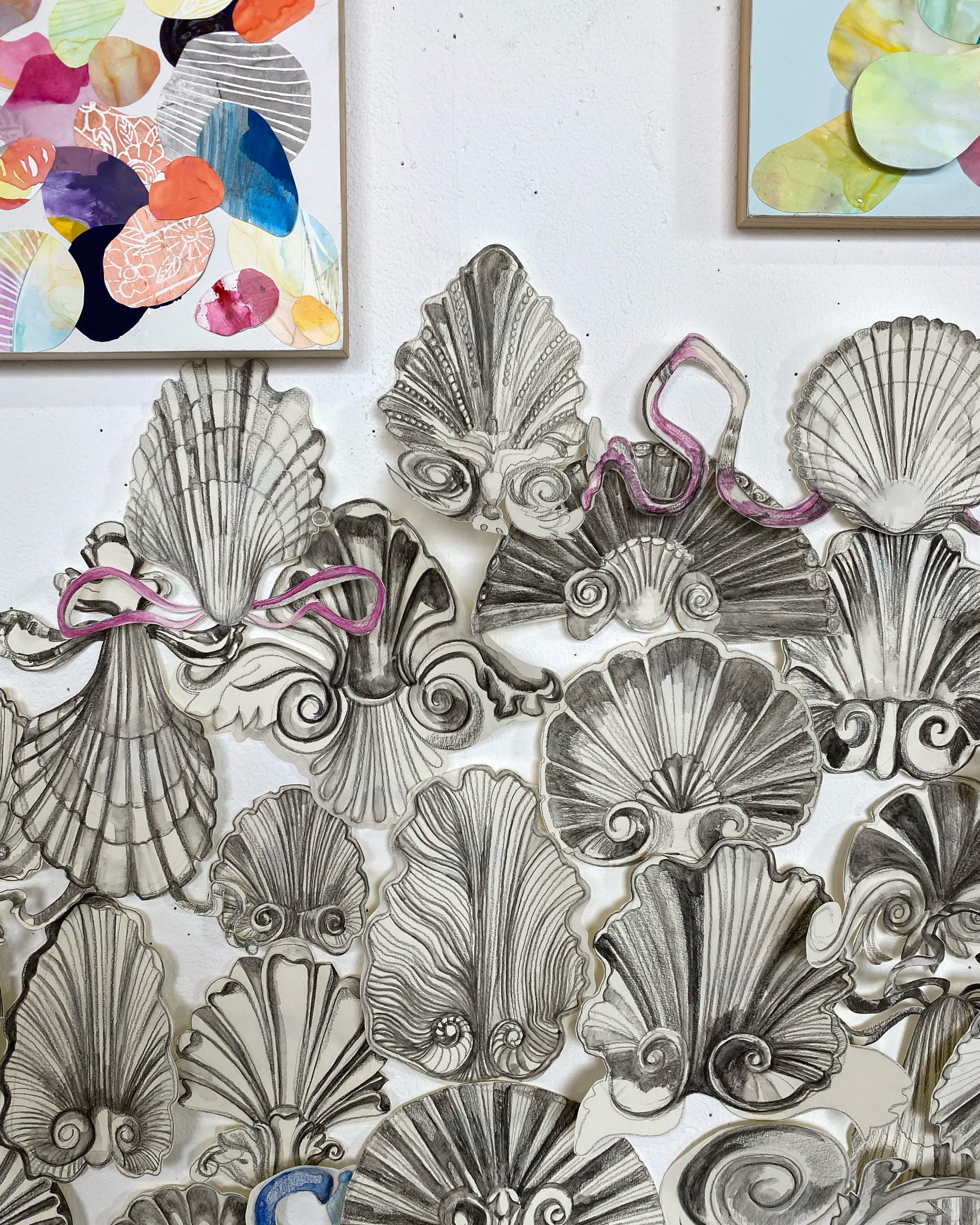 Detail of shell inspired drawings installed on the wall