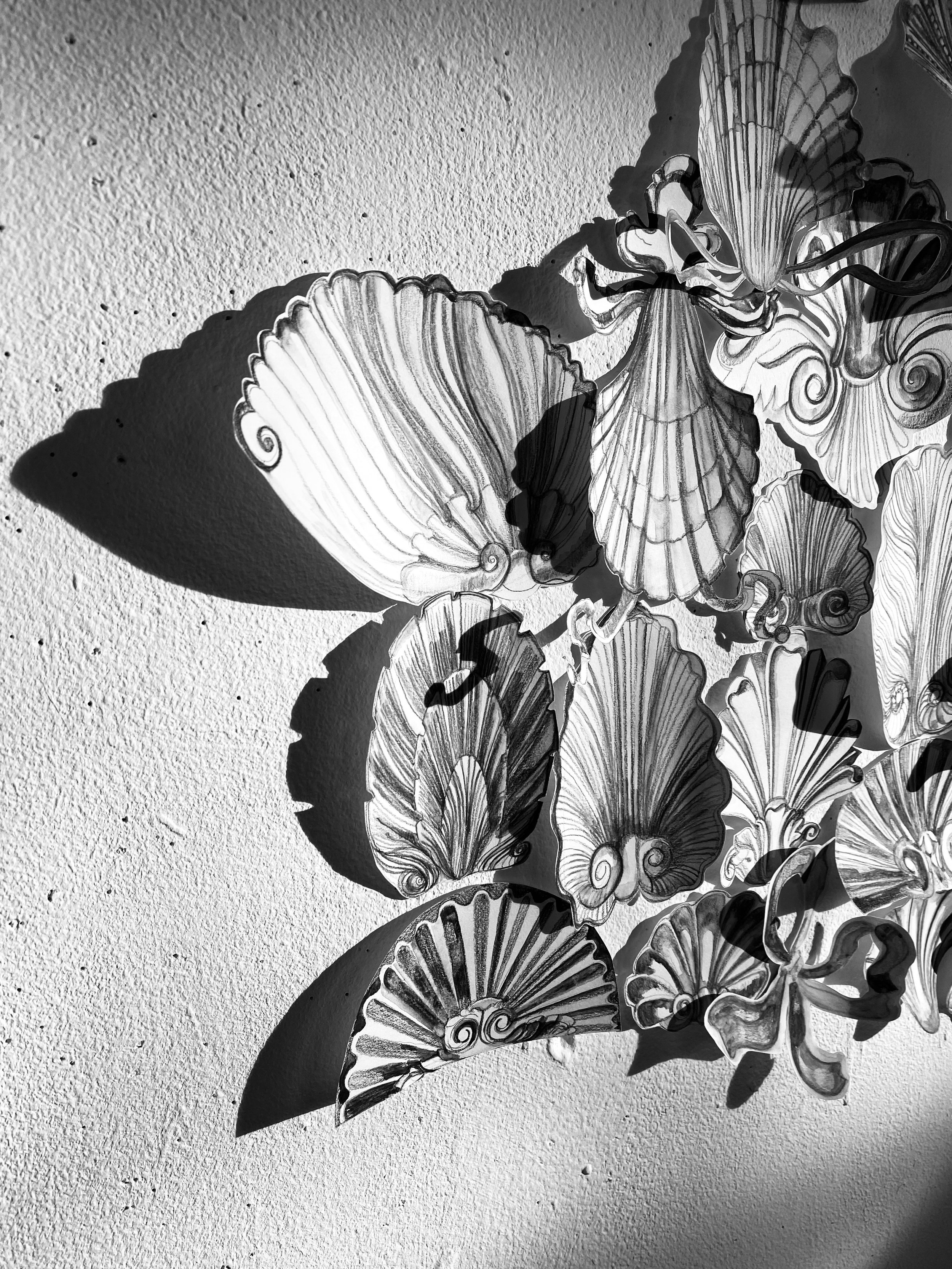 Detail of shell drawings in black and white with shadows