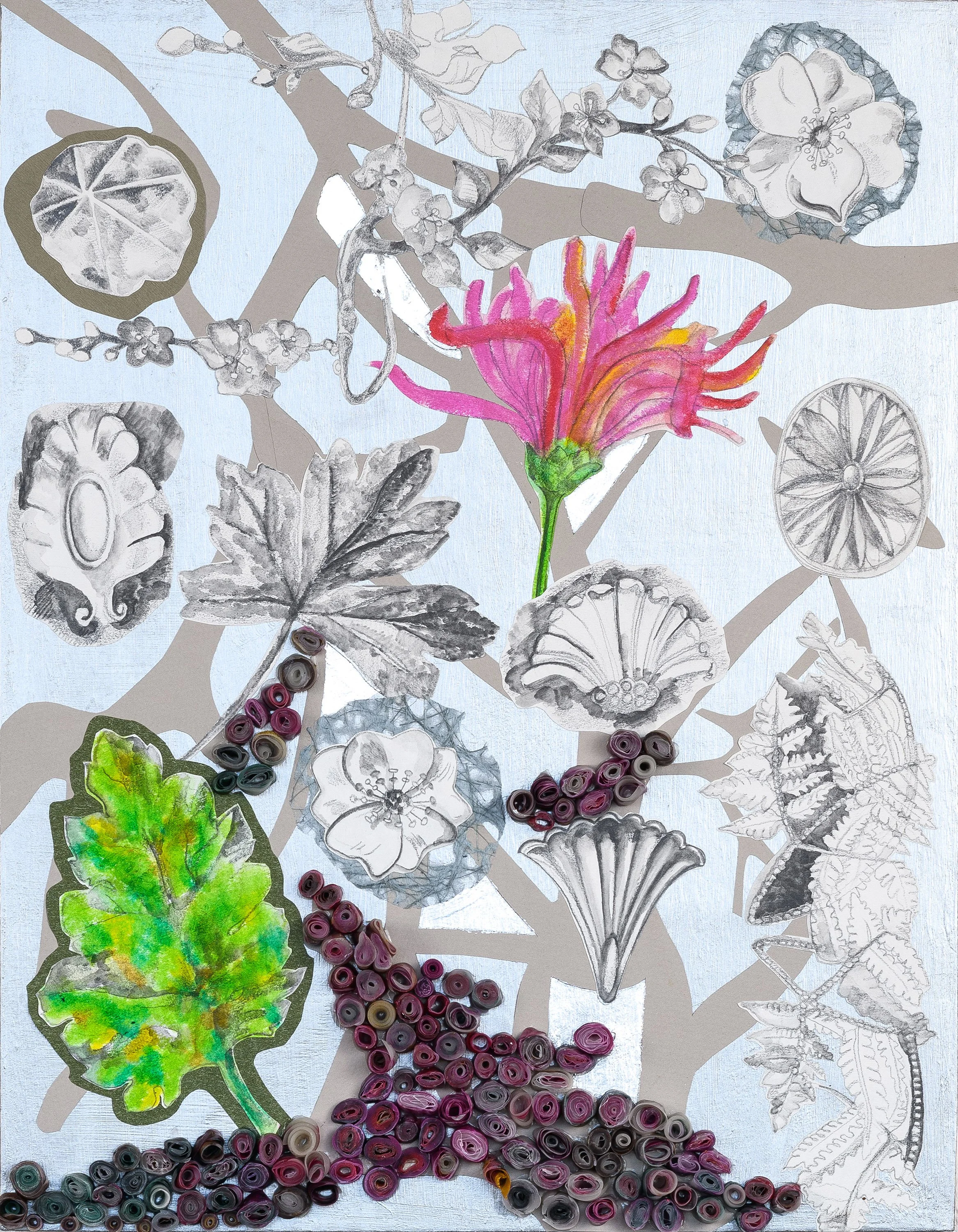 Lauren Braun Plant Networks_Hi.jpg